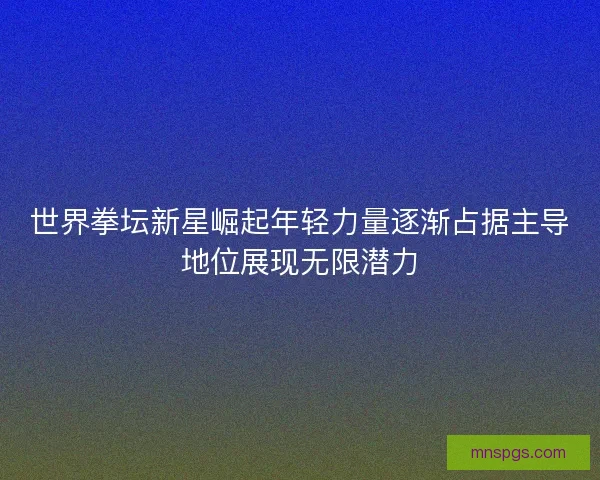 世界拳坛新星崛起年轻力量逐渐占据主导地位展现无限潜力 世界拳坛新星崛起年轻力量逐渐占据主导地位展现无限潜力